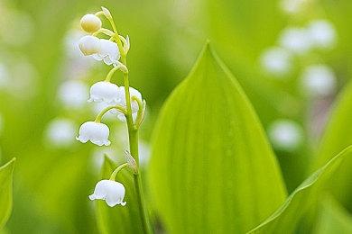 国产《洞石火》首发7.2元发售 北魏末年，敦煌小镇